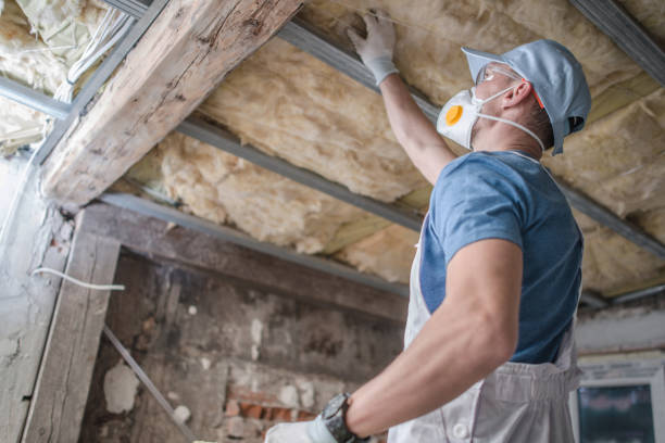 Best Insulation Removal  in Pleasant Garden, NC