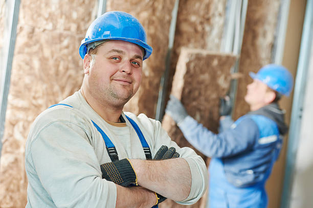 Best Wall Insulation Contractor  in Pleasant Garden, NC